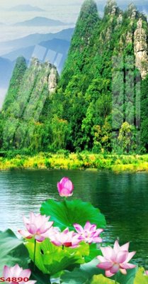 File gốc Tranh hoa sen cá cửu ngư quần hội S4890 (PSD/TIFF) độ phân giải cao