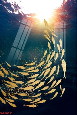 File tranh Tranh hoa sen cá cửu ngư quần hội S4907 (ảnh gốc) độ nét vượt trội