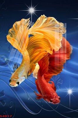 File gốc Tranh hoa sen cá cửu ngư quần hội S4917 (in 3D) cho trang trí