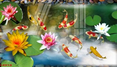 Tải file Tranh hoa sen cá cửu ngư quần hội S4918 (gốc) làm file in ấn