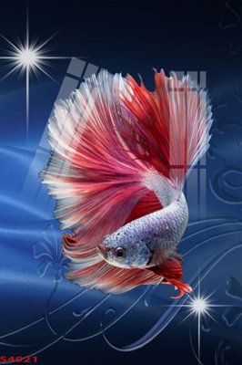 File in trần Tranh hoa sen cá cửu ngư quần hội S4921 (bản gốc) mây trời