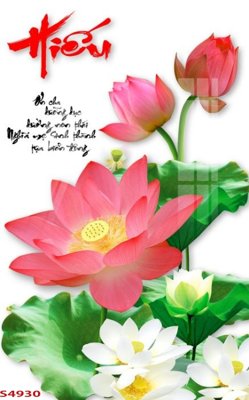 Chi tiết file gốc Tranh hoa sen cá cửu ngư quần hội S4930 (cho in tráng gương)