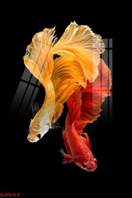 Tải file gốc Tranh hoa sen cá cửu ngư quần hội S4937 (in không vỡ ảnh)