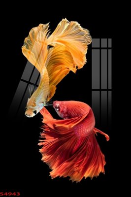 File gốc Tranh hoa sen cá cửu ngư quần hội S4943 (in lụa) chi tiết cao