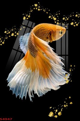 File tranh Tranh hoa sen cá cửu ngư quần hội S4947 (gốc) in film