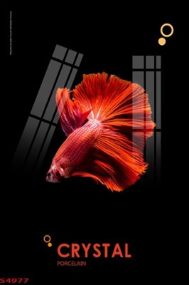 File gốc Tranh hoa sen cá cửu ngư quần hội S4977 (in ấn) không giới hạn