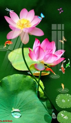 File tranh Tranh hoa sen cá cửu ngư quần hội S4986 (gốc) chủ đề thiên nhiên