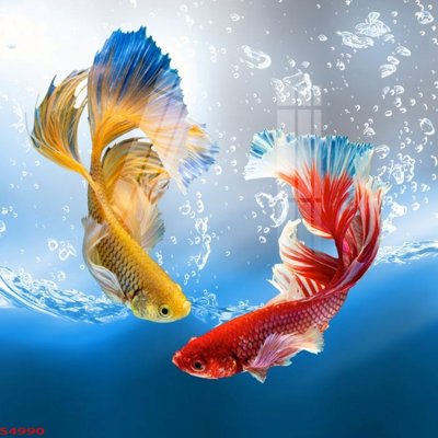 Tệp tin gốc Tranh hoa sen cá cửu ngư quần hội S4990 (chất lượng) Tranh hoa sen cá cửu ngư quần hội S4990