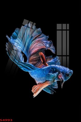 File tranh Tranh hoa sen cá cửu ngư quần hội S4993 (bản gốc) treo quán cafe