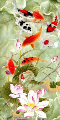 Tệp tin gốc Tranh cửu ngư quần hội sen cá S5 (chất lượng) Tranh cửu ngư quần hội sen cá S5