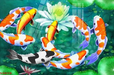 File gốc Tranh hoa sen cá cửu ngư quần hội S5019 (dành cho quảng cáo)