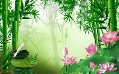 File gốc Tranh hoa sen cá cửu ngư quần hội S5036 (in mica) làm quà tặng