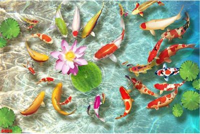 Download file Tranh cửu ngư quần hội sen cá S507 (gốc) in mica đèn LED