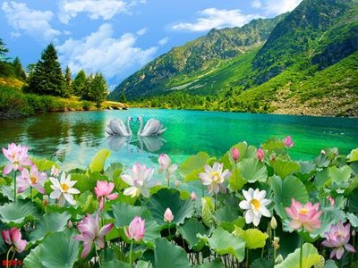 File tranh trang trí Tranh cửu ngư quần hội sen cá S551 (file gốc)