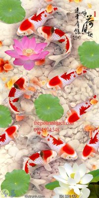 File in ấn Tranh cửu ngư quần hội sen cá S56 (bản gốc) từ file gốc