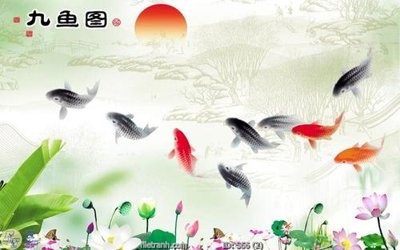 File PSD Tranh cửu ngư quần hội sen cá S66 (bản gốc) dễ dàng edit