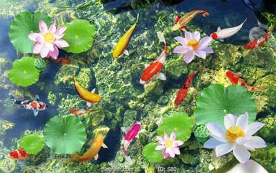 File gốc Tranh cửu ngư quần hội sen cá S80 (trang trí) phòng ngủ