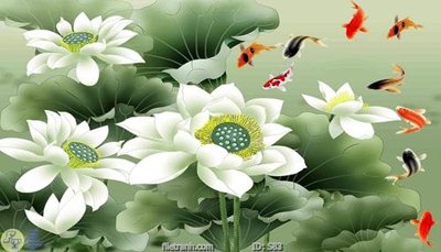 File ảnh Tranh cửu ngư quần hội sen cá S83 (gốc) in poster