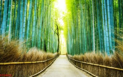 Ảnh gốc Tranh sơn thủy thác nước phong thủy ST2822 (nét căng) in mica