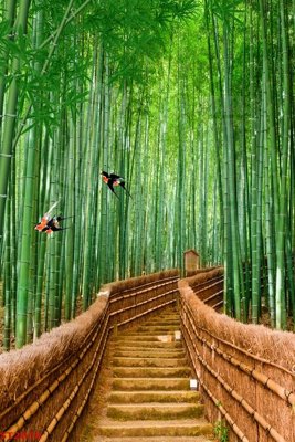 File in ấn Tranh sơn thủy thác nước phong thủy ST2858 chuyên nghiệp