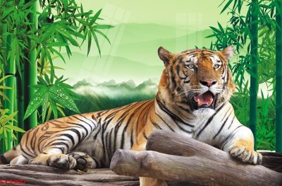 File gốc Tranh sơn thủy thác nước phong thủy ST2997 (in tráng gương) sang trọng