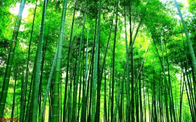 Hình ảnh file gốc Tranh sơn thủy thác nước phong thủy ST3029 (chất lượng cao)