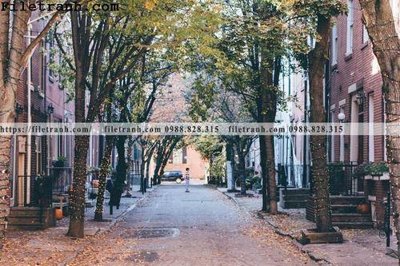 Tải file Street133 (ảnh gốc) độ phân giải 300dpi