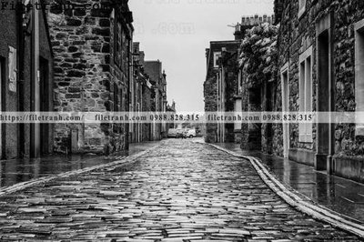 File in ấn Street162 (bản gốc) cao cấp