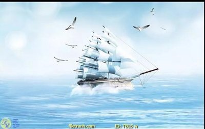 File gốc File thuận buồm xuôi gió TB15 (PNG) không nền chất lượng