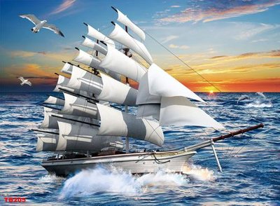 File in mica File thuận buồm xuôi gió TB205 (bản gốc) siêu trong