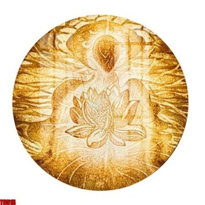 File tranh File tranh trúc chỉ TC515 (ảnh gốc) in trần 3D