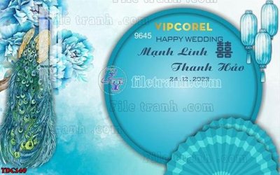 Tải file gốc File banner phông đám cưới TDC149 (bản PSD) chỉnh sửa được