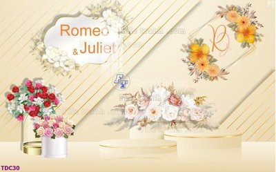 File gốc File banner phông tiệc đám cưới TDC30 (AI/EPS) cho in ấn