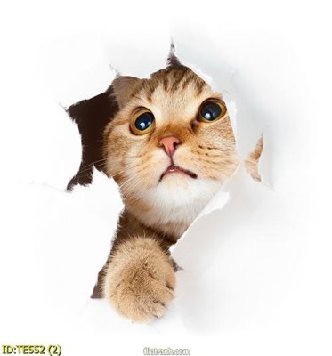 Tải file gốc File tranh trẻ em TE552 (bản PSD) còn layer