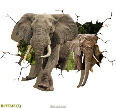 Ảnh gốc File tranh trẻ em TE616 (độ nét cao) in tráng gương