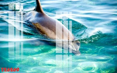 File gốc File tranh trẻ em 3d TE6269 (in lụa) tranh mã đáo