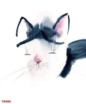 File in trần File tranh trẻ em TE680 (file gốc) xuyên sáng