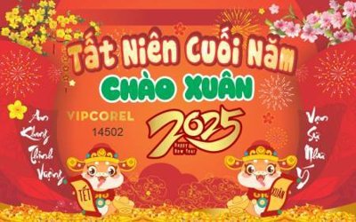 File in mica File backdrop phông chúc mừng năm mới tết 2025 ất tỵ TET2013 (bản gốc) sắc sảo