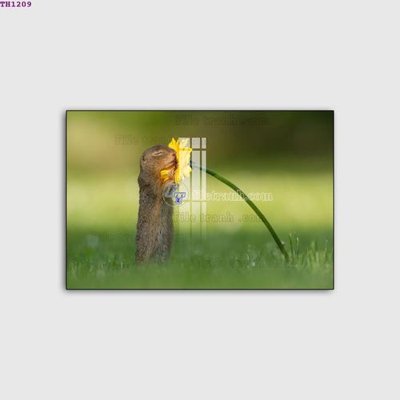 File tranh File gốc in tranh tổng hợp TH1209 (gốc) chủ đề tĩnh vật