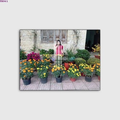 Tải file File gốc in tranh tổng hợp TH961 (gốc) chủ đề tâm linh