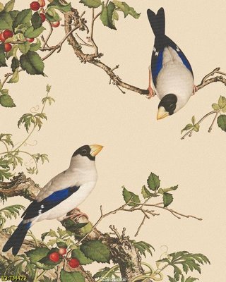 Tải file File tranh thủy mặc TM422 (ảnh gốc) 300dpi File tranh thủy mặc TM422