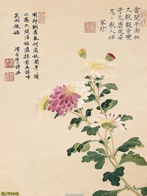 File gốc File tranh thủy mặc TM446 (vector) cho in ấn