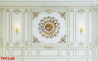 File tranh Tranh phào chỉ TPC120 (ảnh gốc) độc quyền