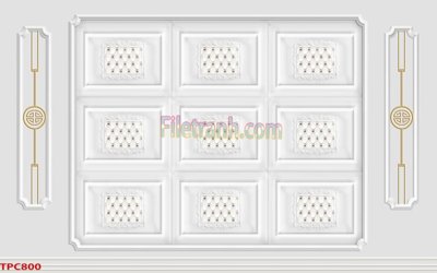 File gốc Tranh phào chỉ TPC800 (ảnh rõ nét) để in