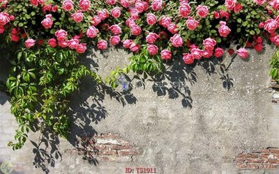 Mua file gốc File hoa trang sức TS1011 (in ấn) tại Filetranh.com