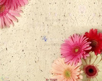 File tranh File hoa trang sức TS1036 (bản gốc) treo phòng ăn