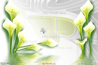 File in trần File hoa trang sức TS1141 (bản gốc) 5D