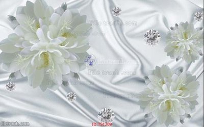 Chi tiết file tranh tráng gương File hoa trang sức TS1209 (ảnh gốc)