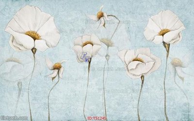 File gốc File hoa trang sức TS1245 (in tráng gương) ốp tường