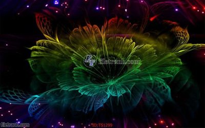 Tải file gốc in lụa File hoa trang sức TS1299 siêu nét